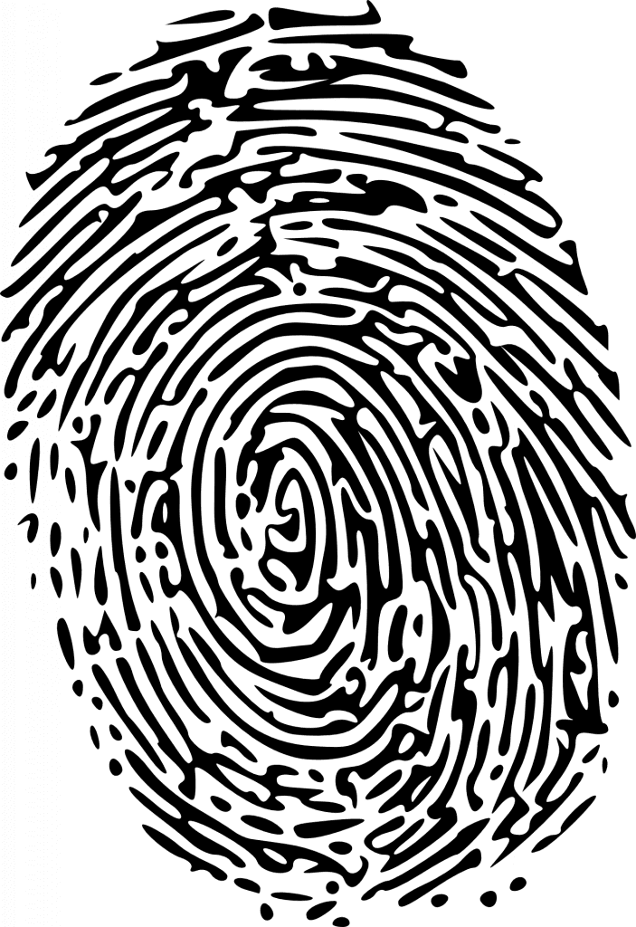 Odcisk linii papilarnych